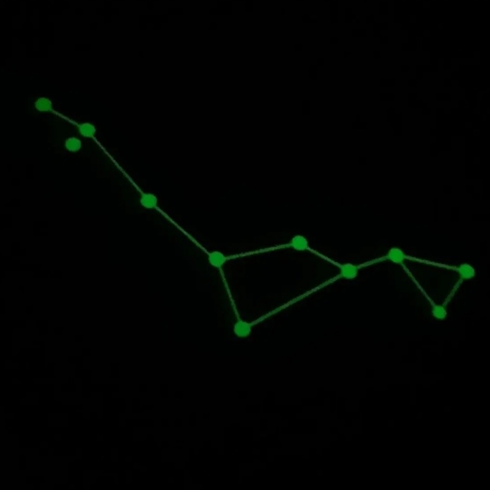 CETUS The Sea Monster Glow In The Dark CARD Stargo Game Replacement Piece